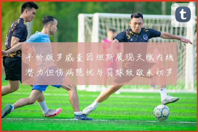 平价版罗威奎因坦斯展现天赋内线潜力但伤病隐忧与罚球致敬米切罗